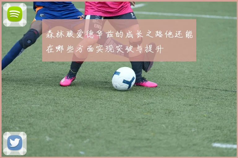 森林狼爱德华兹的成长之路他还能在哪些方面实现突破与提升