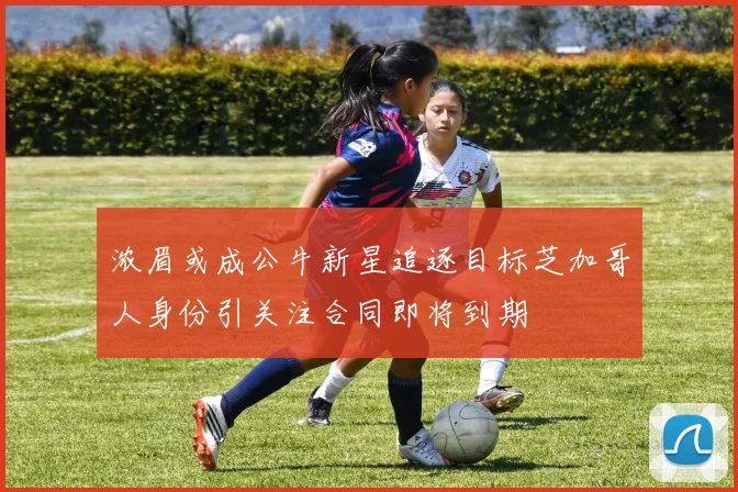 浓眉或成公牛新星追逐目标芝加哥人身份引关注合同即将到期