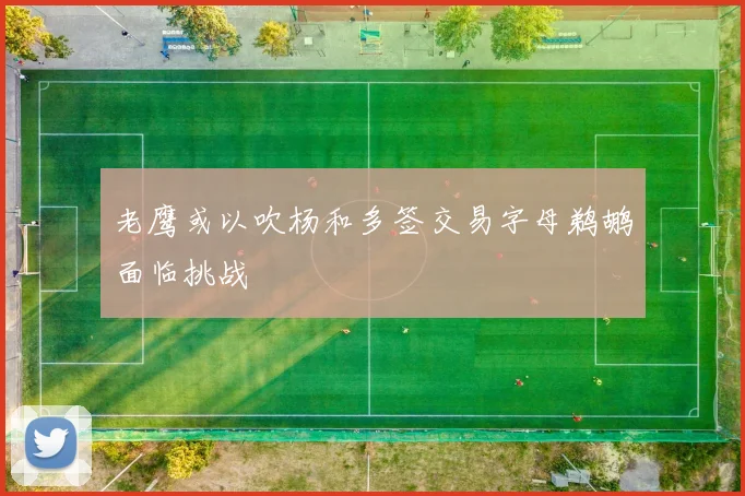 老鹰或以吹杨和多签交易字母鹈鹕面临挑战