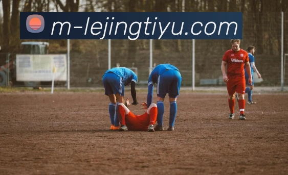 乐竞体育APP 封面图