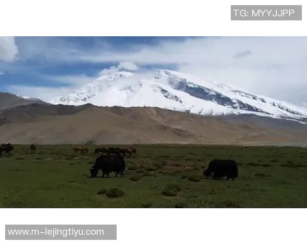 王秋明谈高原适应性问题强调自我反思与客观因素的平衡分析